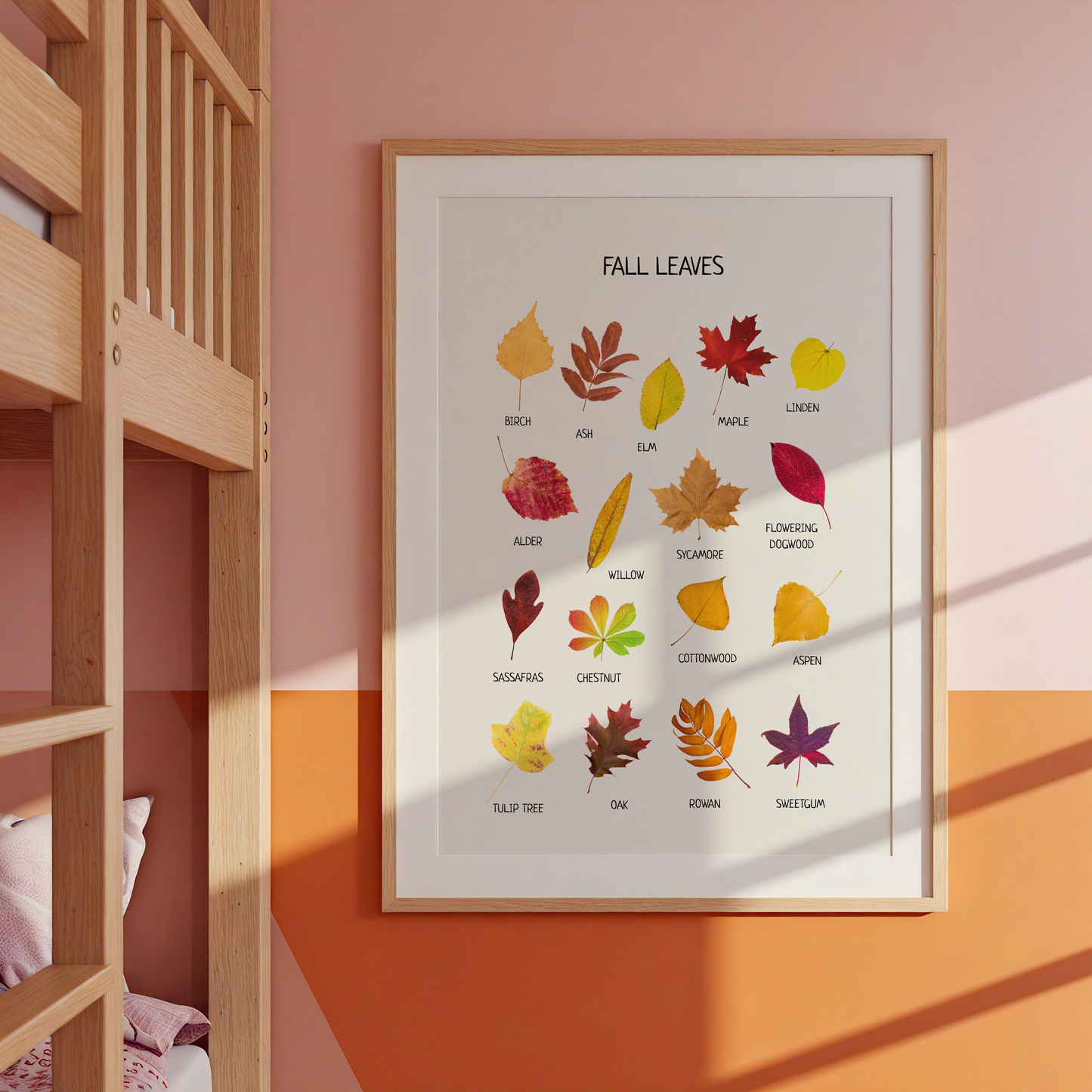 Fall Leaves Poster – Educational Nature Wall Art Print