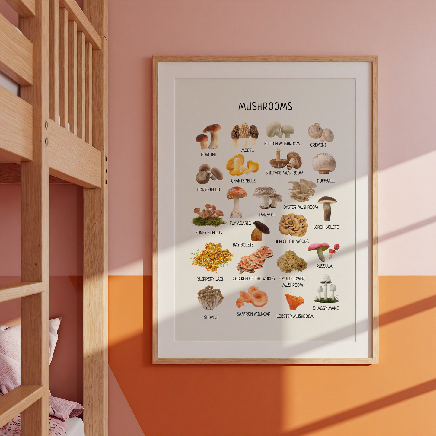 Mushroom Poster - Homeschool Educational Learning Printable Wall Decor Poster