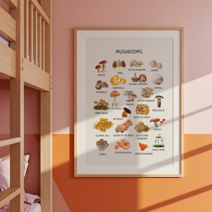 Mushroom Poster - Homeschool Educational Learning Printable Wall Decor Poster