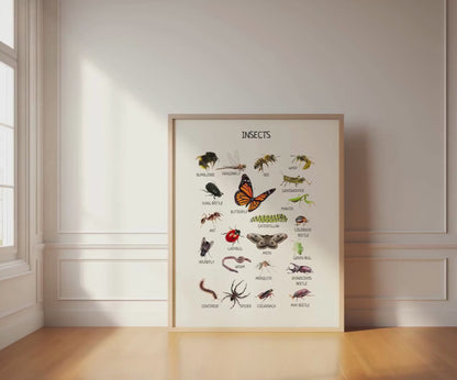 Insects Educational Posters, Classroom Posters, Printable Wall Art, Montessori Decor, Homeschool Preschool Learning Prints, DIGITAL DOWNLOAD