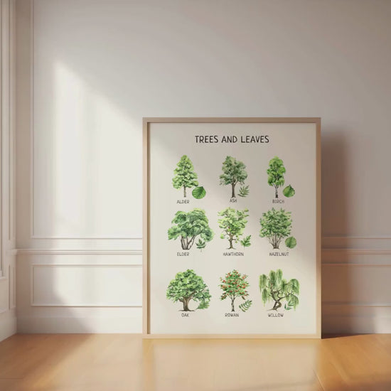 Trees and Leaves Educational Poster, Montessori Poster, Homeschool Decor, Nature Classroom Decor, Nursery Room Decor, DIGITAL DOWNLOAD