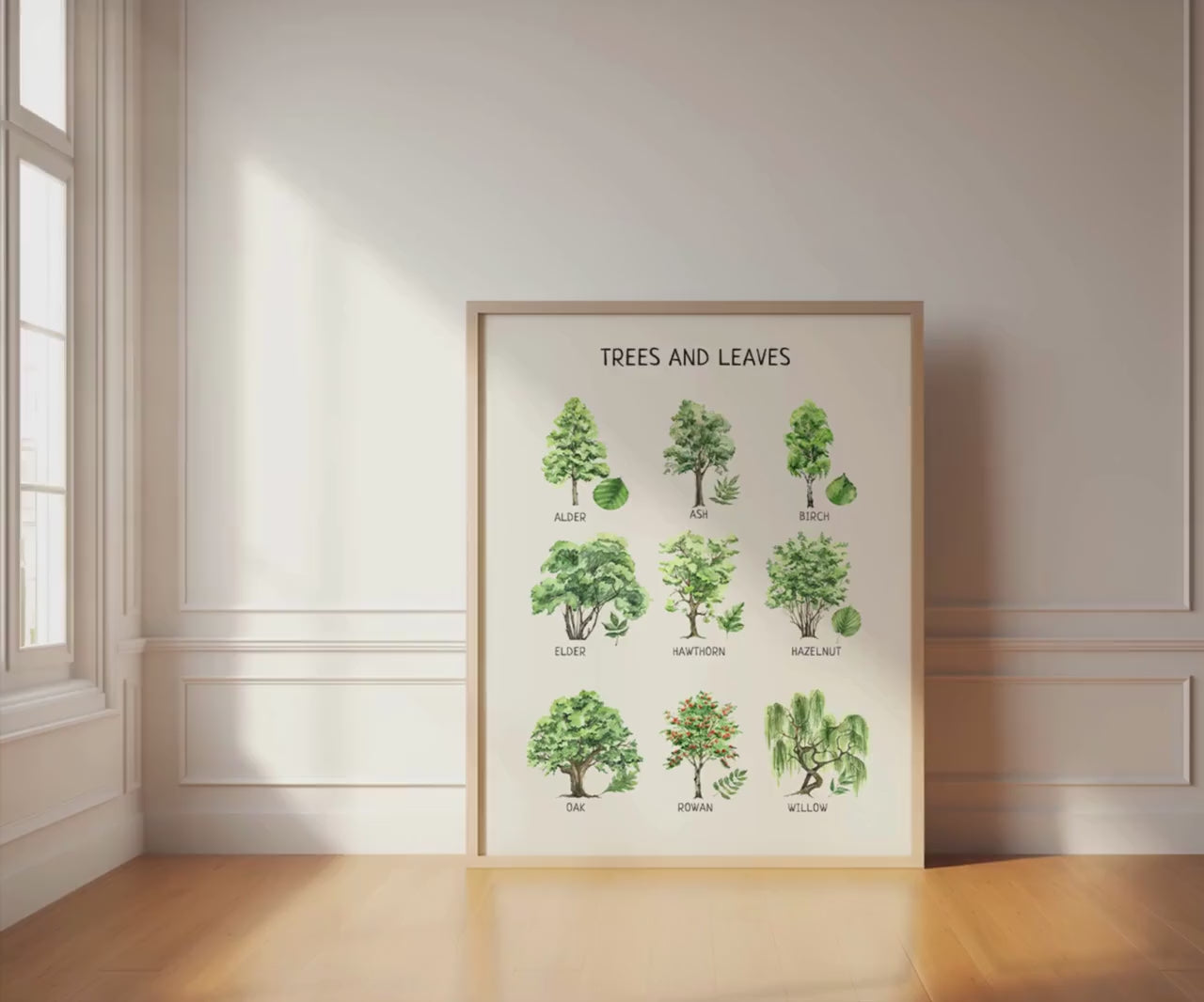 Trees and Leaves Educational Poster, Montessori Poster, Homeschool Decor, Nature Classroom Decor, Nursery Room Decor, DIGITAL DOWNLOAD