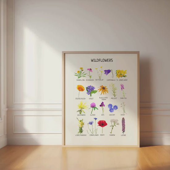 Wildflowers Poster, Educational Nature Poster, Flower Poster, Nursery Wall Art, Kids Room Decor, Montessori Material, Digital Download